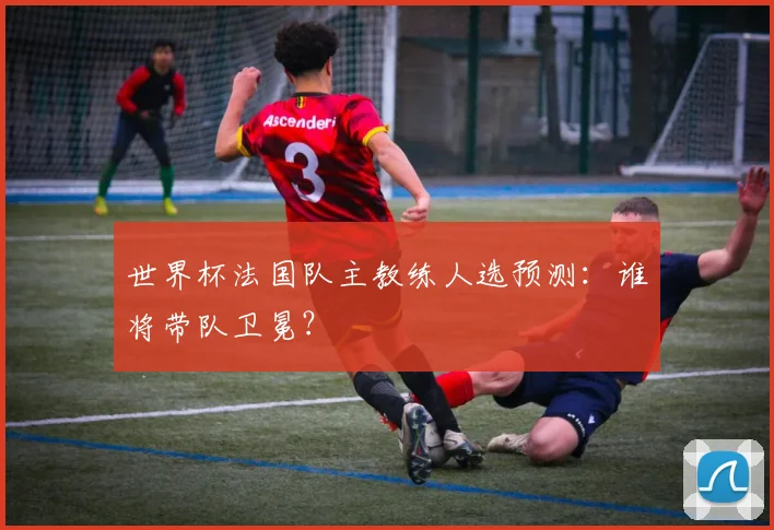 世界杯法国队主教练人选预测:谁将带队卫冕?